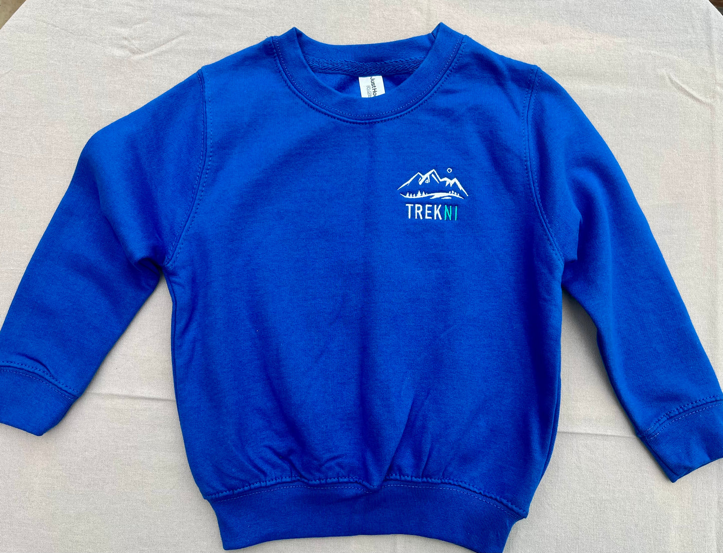 Kids Blue Sweater