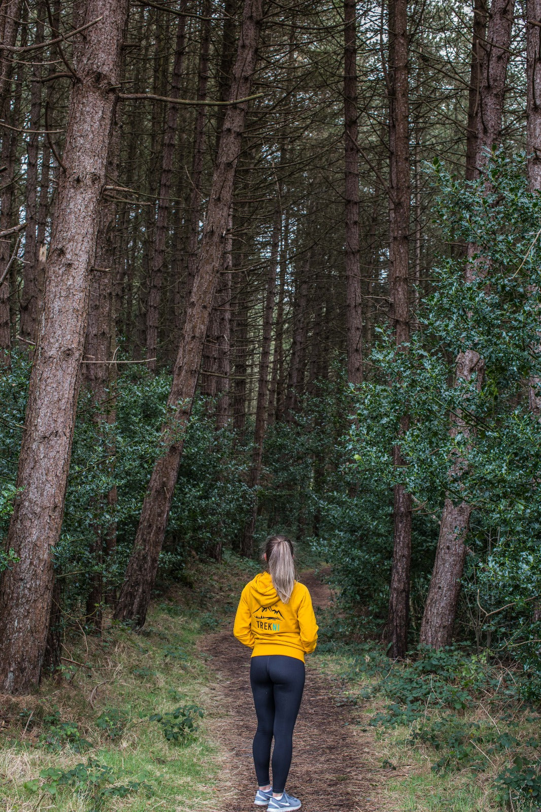 Classic Sunburst Hoodie