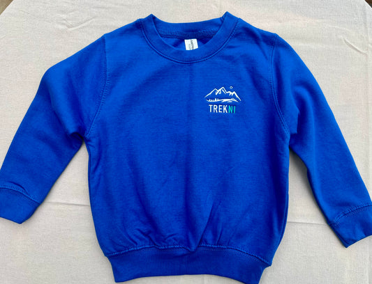 Kids Blue Sweater