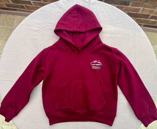 Kids Burgundy Hoodie
