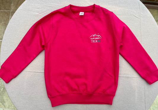 Kids Pink Sweater