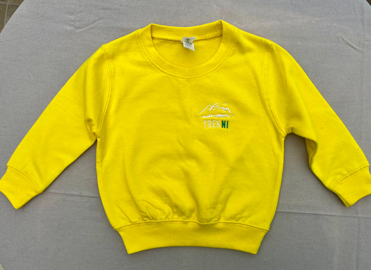 Almost Perfect Kids Yellow Sweater