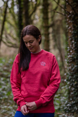 Classic Red Sweater