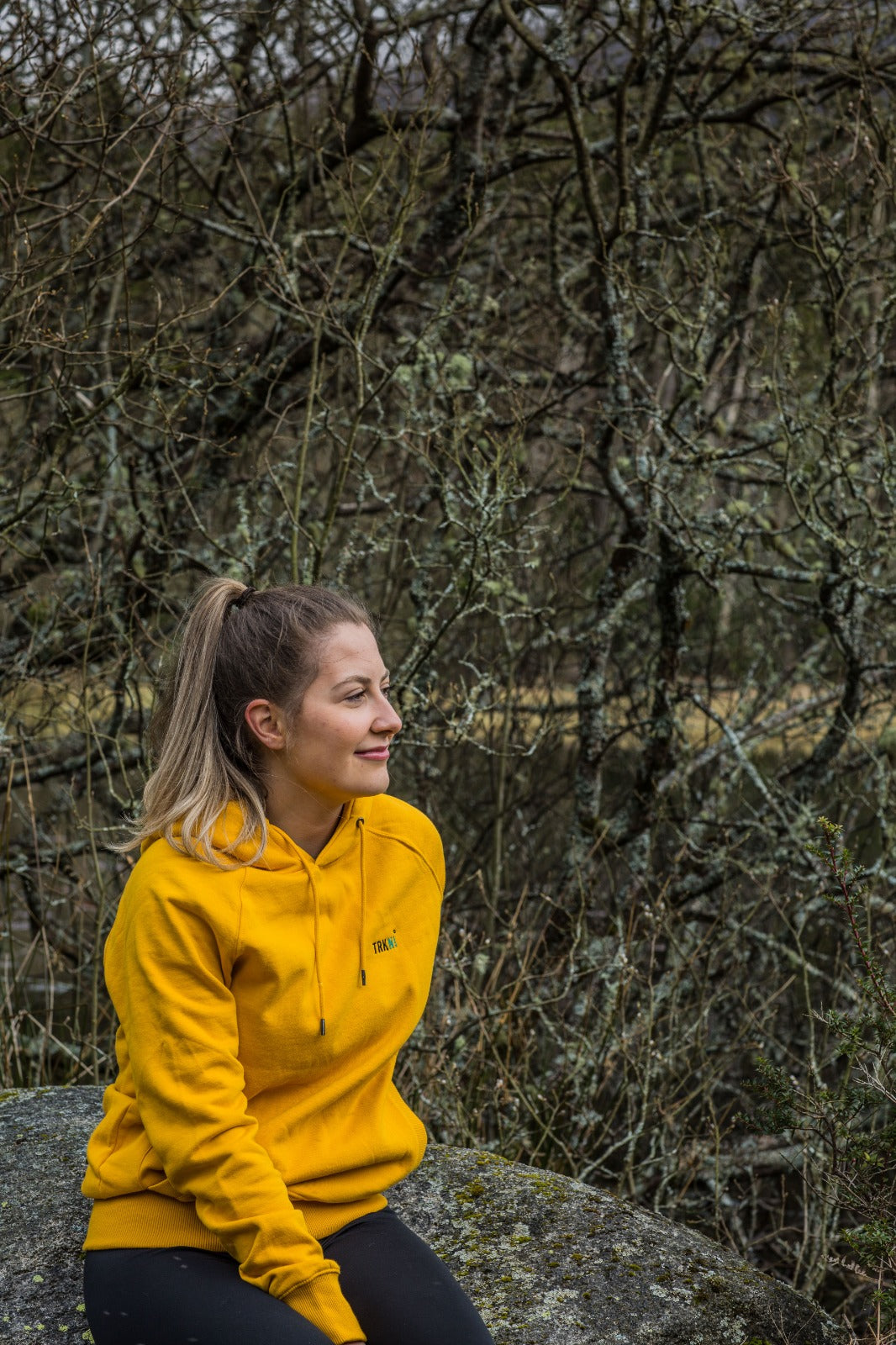 Classic Sunburst Hoodie